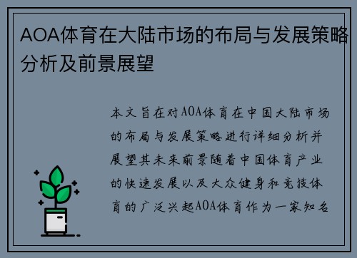 AOA体育在大陆市场的布局与发展策略分析及前景展望